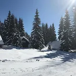 Stara Jelka Pokljuka Zgornje Gorje