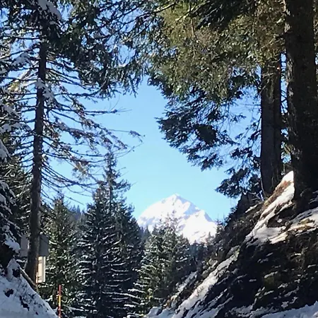 Stara Jelka Pokljuka