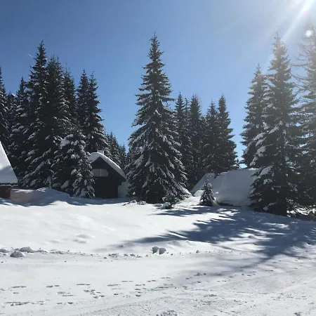 Stara Jelka Pokljuka Zgornje Gorje