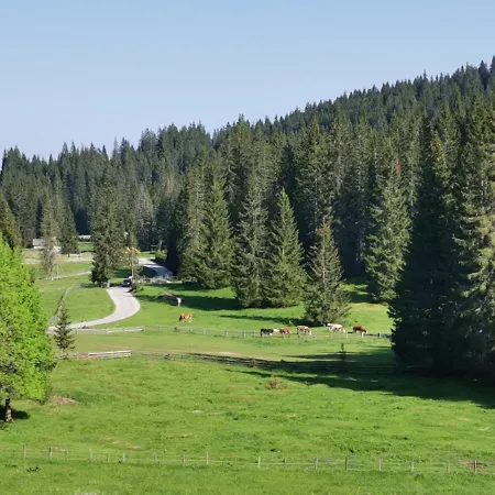 Alpesi faház Stara Jelka Pokljuka