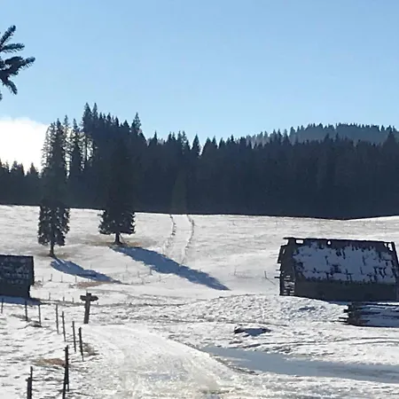 Stara Jelka Pokljuka Zgornje Gorje