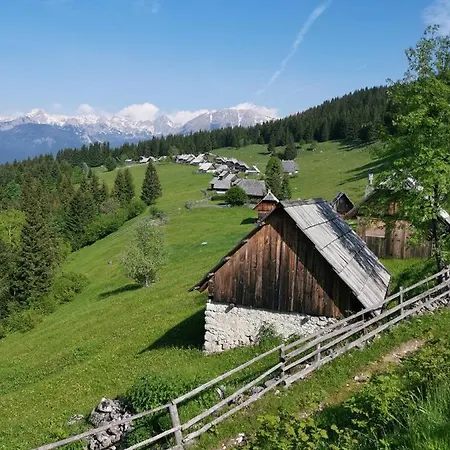 Stara Jelka Pokljuka *