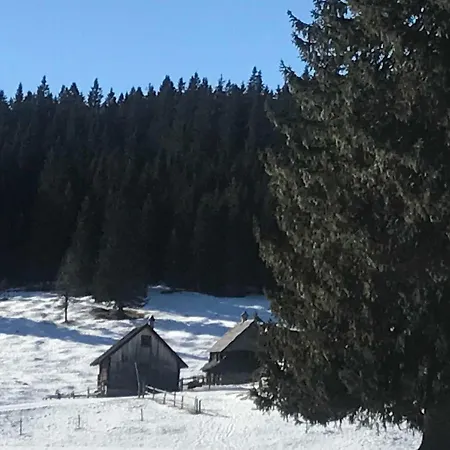 Stara Jelka Pokljuka
