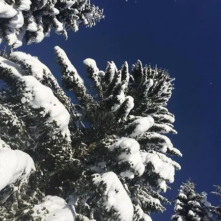 Stara Jelka Pokljuka Alpesi faház Zgornje Gorje