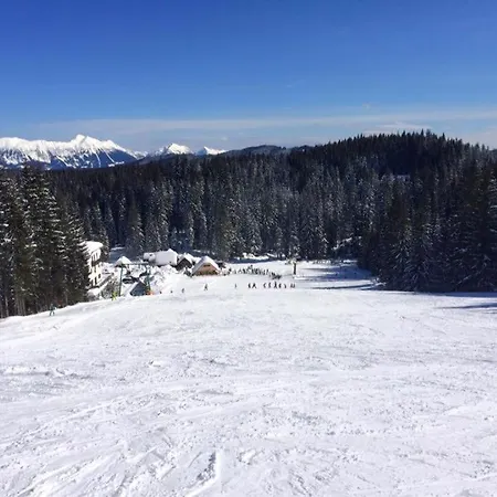 Alpesi faház Stara Jelka Pokljuka