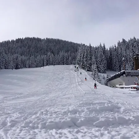 Stara Jelka Pokljuka Alpesi faház *