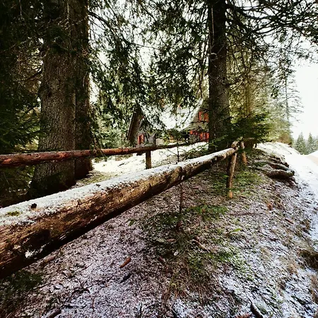 Stara Jelka Pokljuka * Zgornje Gorje