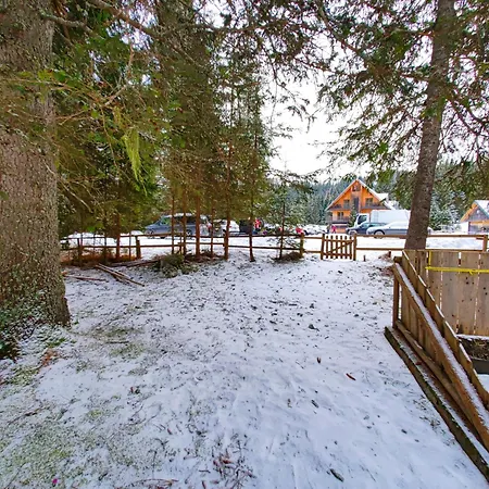 Alpehytte Stara Jelka Pokljuka *