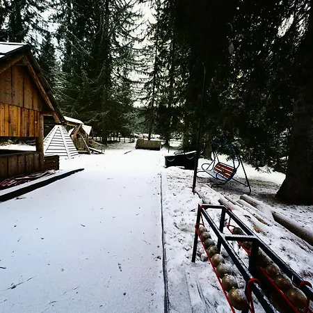 Stara Jelka Pokljuka Zgornje Gorje