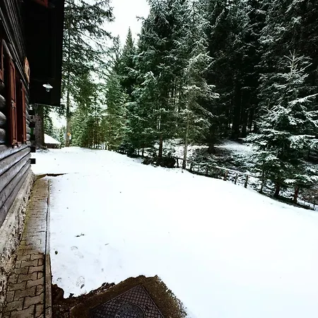 Alpesi faház Stara Jelka Pokljuka Zgornje Gorje