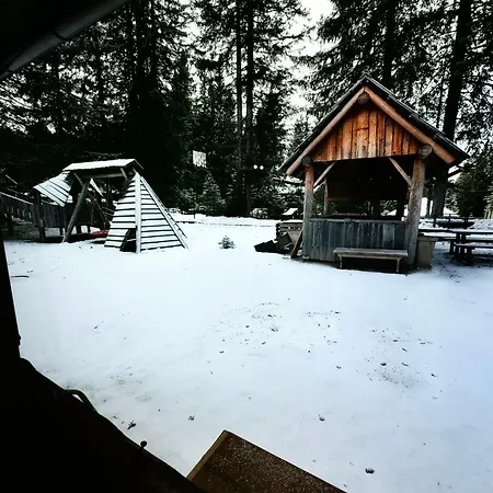 Stara Jelka Pokljuka * Zgornje Gorje