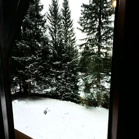 Stara Jelka Pokljuka Zgornje Gorje