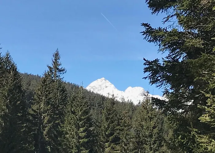 Stara Jelka Pokljuka شاليه