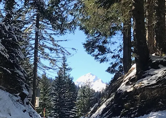 Stara Jelka Pokljuka