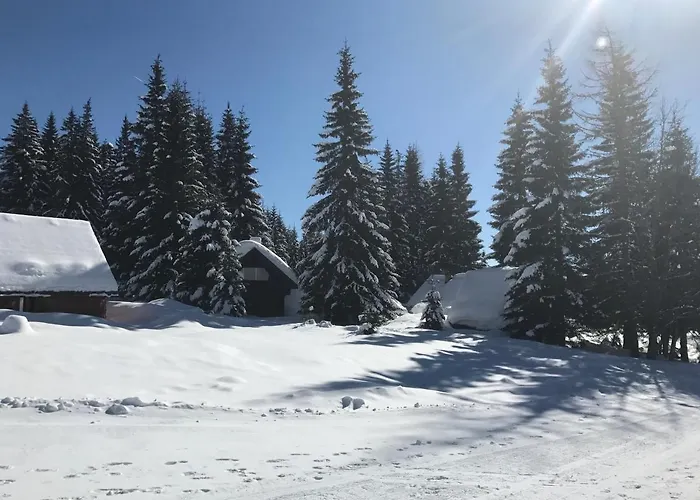 Stara Jelka Pokljuka زغورنجي