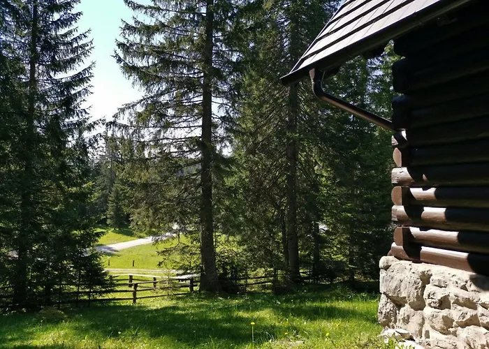 Шале Stara Jelka Pokljuka Згорнье-Горье