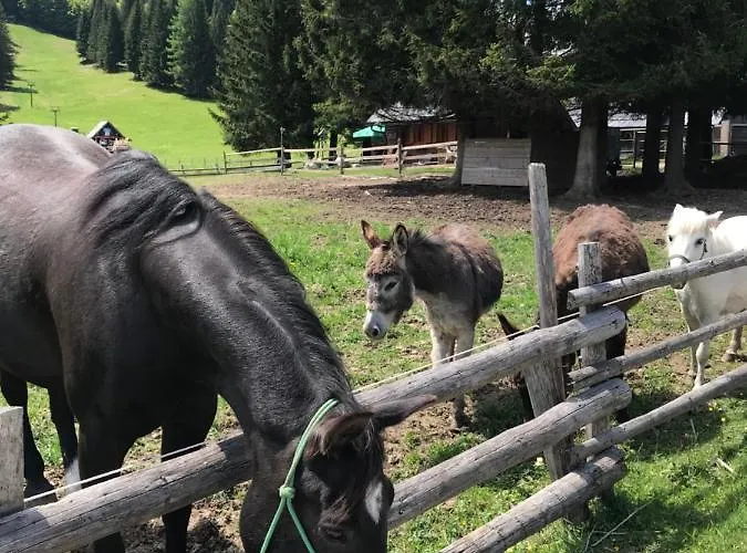 Σαλέ Stara Jelka Pokljuka *