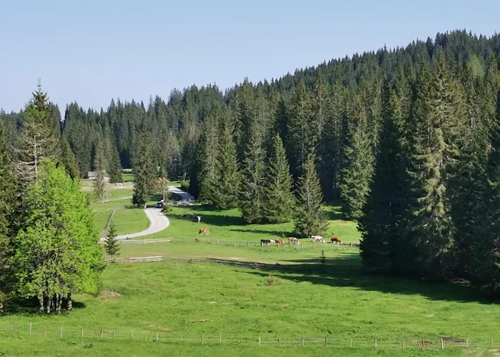 Σαλέ Stara Jelka Pokljuka