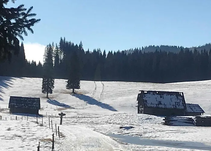 Stara Jelka Pokljuka Zgornje Gorje