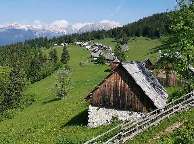 Stara Jelka Pokljuka *
