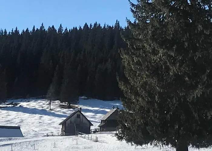 Stara Jelka Pokljuka