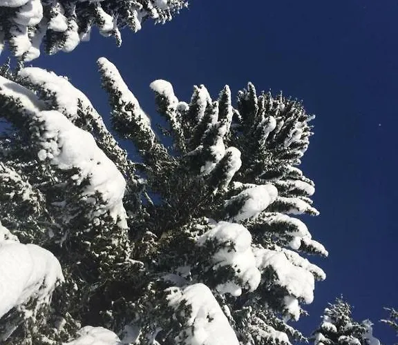 Stara Jelka Pokljuka Σαλέ Zgornje Gorje