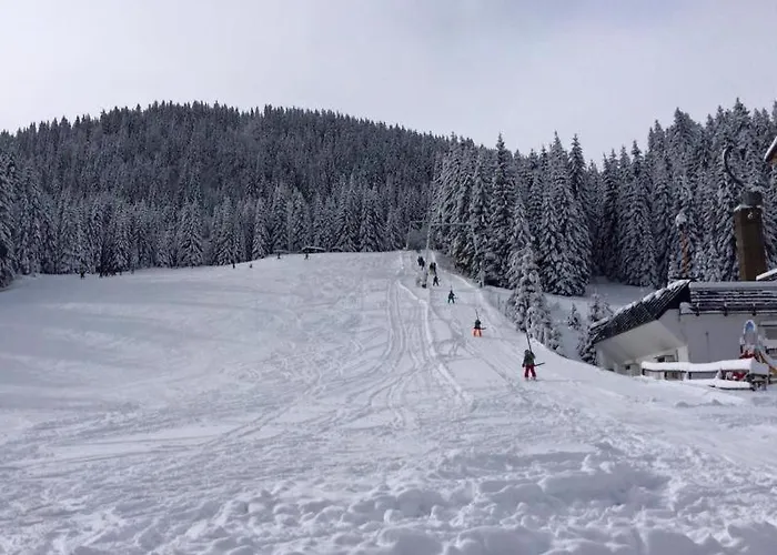 Stara Jelka Pokljuka Σαλέ *