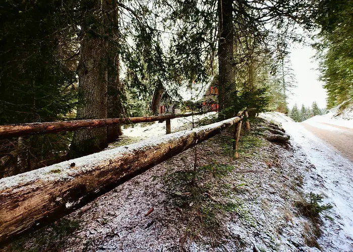Stara Jelka Pokljuka * زغورنجي
