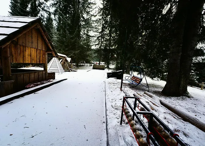 Stara Jelka Pokljuka Zgornje Gorje