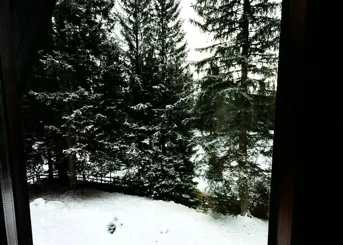 Stara Jelka Pokljuka زغورنجي